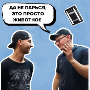 Недельная глава "Ки теце" ч.1 Недельная глава "Ки теце" ч.1