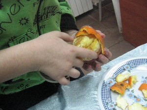 tu-bi-shwat-5770_10.jpg tu-bi-shwat-5770_10.jpg