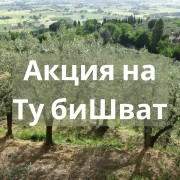 Акция на Ту биШват